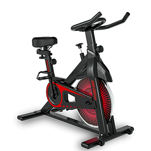 SPARNOD FITNESS SSB-10 Spin Bike Exercise Cycle for Home Gym - Digital Display,...